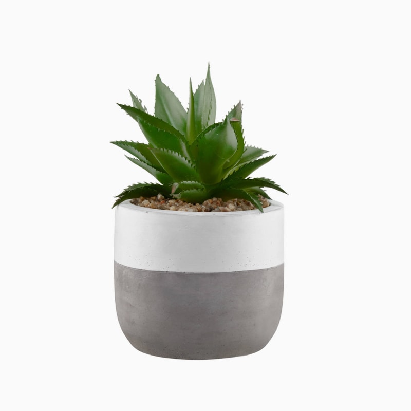 Aliquam furniture - Imagen 4