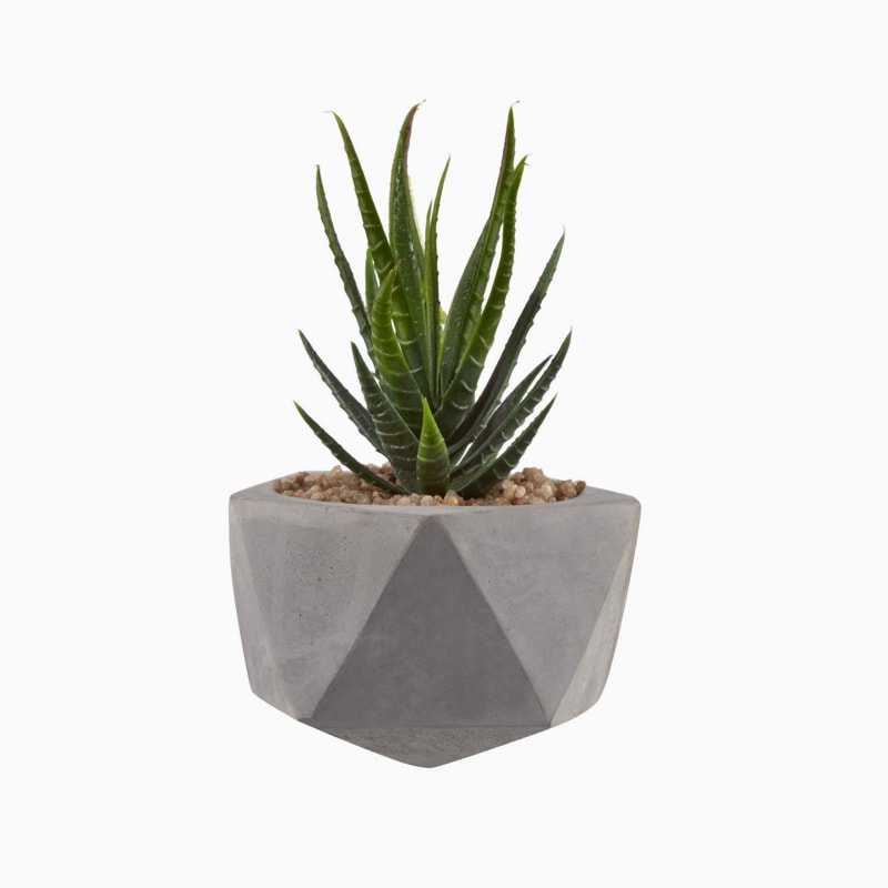 Aliquam sit amet - Imagen 3