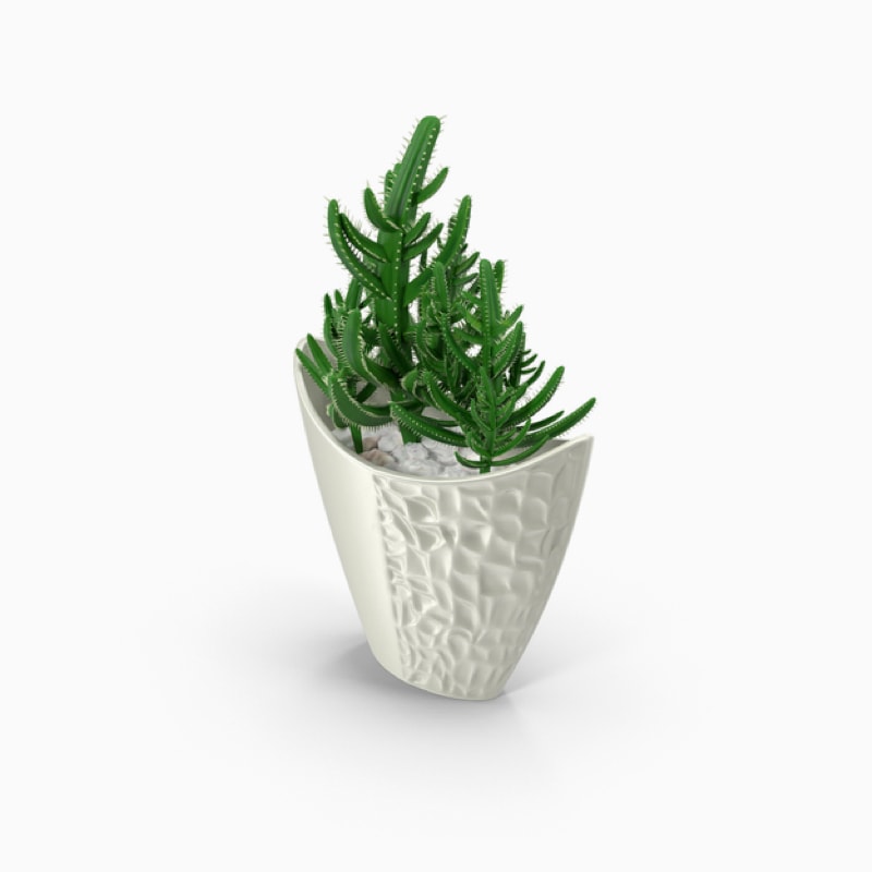 Convallis furniture - Imagen 3